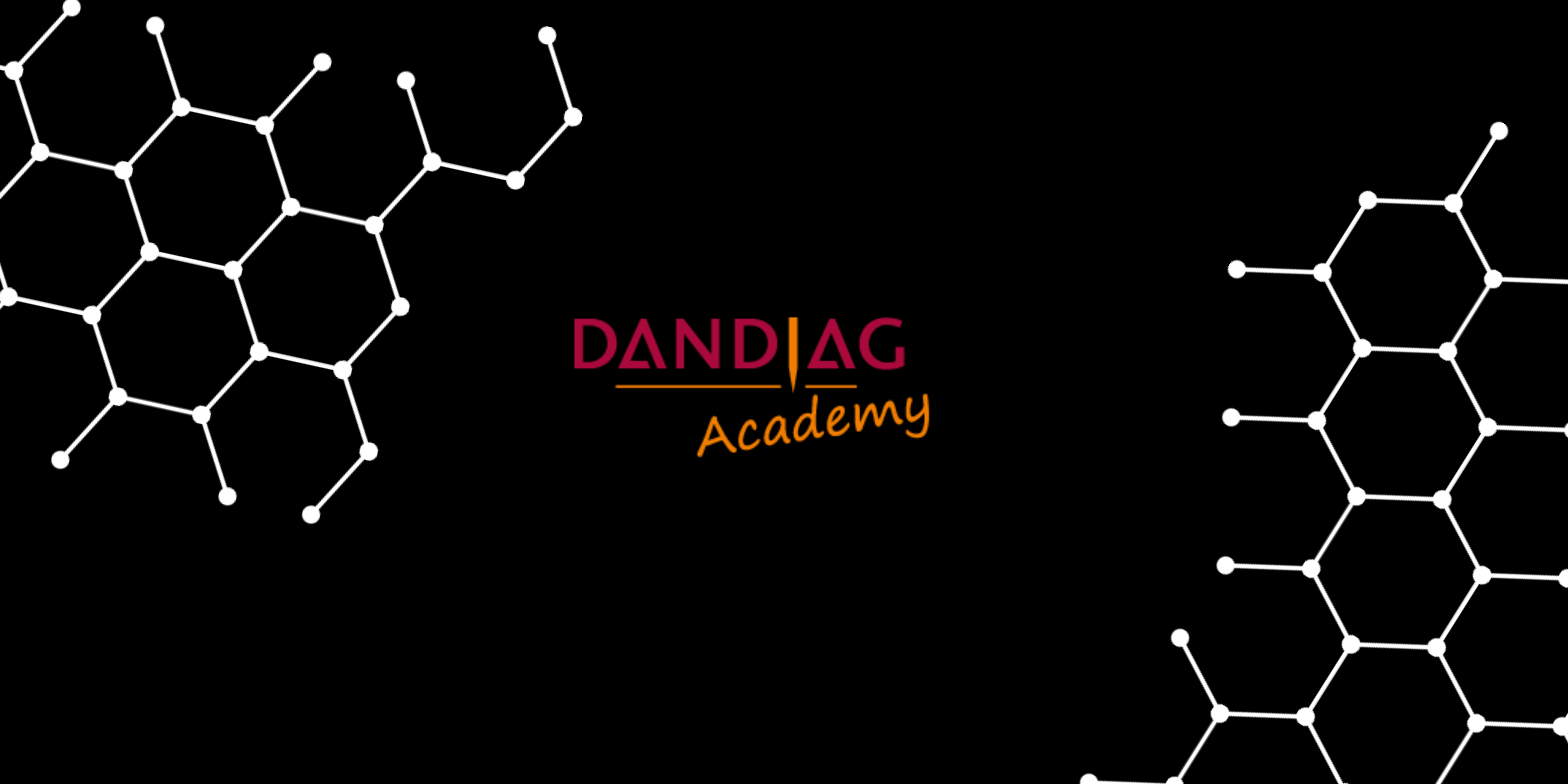 Dandiag Academy: En strategisk vej til faglig relevans